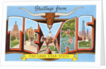 Greetings from Texas, the Lone Star State by Anonymous
