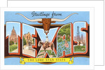 Greetings from Texas, the Lone Star State by Anonymous