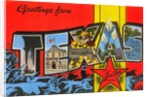 Greetings from Texas, the Lone Star State by Anonymous