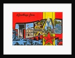 Greetings from Texas, the Lone Star State by Anonymous