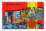 Greetings from Texas, the Lone Star State by Anonymous