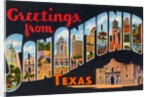 Greetings from San Antonio, Texas by Anonymous
