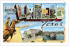 Greetings from Laredo, Texas by Anonymous