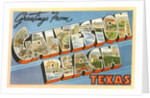 Greetings from Galveston Beach, Texas by Anonymous