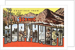 Greetings from the Scenic Northwest by Anonymous