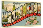 Greetings from Washington by Anonymous