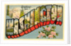 Greetings from Washington by Anonymous