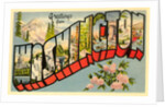 Greetings from Washington by Anonymous
