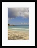 Takamaka beach, Mahe, Seychelles, Indian Ocean islands by Anonymous