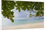 Beach at Bel Ombre, Baie Beau Vallon, Mahe, Seychelles, Indian Ocean islands by Anonymous