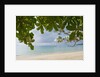 Beach at Bel Ombre, Baie Beau Vallon, Mahe, Seychelles, Indian Ocean islands by Anonymous