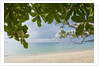 Beach at Bel Ombre, Baie Beau Vallon, Mahe, Seychelles, Indian Ocean islands by Anonymous