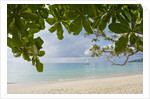 Beach at Bel Ombre, Baie Beau Vallon, Mahe, Seychelles, Indian Ocean islands by Anonymous