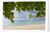 Beach at Bel Ombre, Baie Beau Vallon, Mahe, Seychelles, Indian Ocean islands by Anonymous