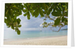 Beach at Bel Ombre, Baie Beau Vallon, Mahe, Seychelles, Indian Ocean islands by Anonymous