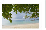 Beach at Bel Ombre, Baie Beau Vallon, Mahe, Seychelles, Indian Ocean islands by Anonymous