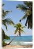 Takamaka beach, Seychelles, Indian Ocean islands by Anonymous
