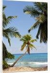 Takamaka beach, Seychelles, Indian Ocean islands by Anonymous