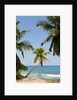 Takamaka beach, Seychelles, Indian Ocean islands by Anonymous