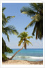 Takamaka beach, Seychelles, Indian Ocean islands by Anonymous