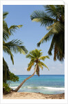 Takamaka beach, Seychelles, Indian Ocean islands by Anonymous