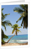 Takamaka beach, Seychelles, Indian Ocean islands by Anonymous