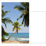 Takamaka beach, Seychelles, Indian Ocean islands by Anonymous
