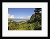 Victoria Harbor view from Bellevue, Mahe, Seychelles, Indian Ocean islands by Anonymous
