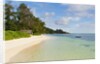 Source d'Argent Beach, La Digue, Seychelles, Indian Ocean Islands by Anonymous