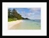 Source d'Argent Beach, La Digue, Seychelles, Indian Ocean Islands by Anonymous