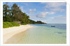 Source d'Argent Beach, La Digue, Seychelles, Indian Ocean Islands by Anonymous