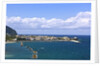 Coastline, Forio, Campania, Italy by Anonymous