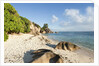 Source d'Argent Beach, La Digue, Seychelles, Indian Ocean Islands by Anonymous