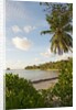 Source d'Argent Beach, La Digue, Seychelles, Indian Ocean Islands by Anonymous