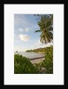 Source d'Argent Beach, La Digue, Seychelles, Indian Ocean Islands by Anonymous