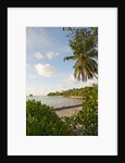 Source d'Argent Beach, La Digue, Seychelles, Indian Ocean Islands by Anonymous