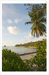 Source d'Argent Beach, La Digue, Seychelles, Indian Ocean Islands by Anonymous