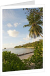 Source d'Argent Beach, La Digue, Seychelles, Indian Ocean Islands by Anonymous