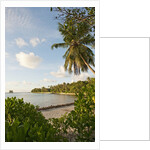 Source d'Argent Beach, La Digue, Seychelles, Indian Ocean Islands by Anonymous