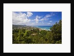 Coastline, Forio, Campania, Italy by Anonymous