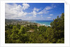 Coastline, Forio, Campania, Italy by Anonymous