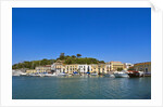 Ischia Porto, Ischia, Campania, Italy by Anonymous