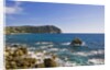Coastline, Forio, Campania, Italy by Anonymous
