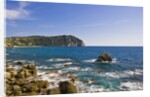 Coastline, Forio, Campania, Italy by Anonymous