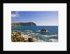 Coastline, Forio, Campania, Italy by Anonymous