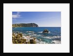 Coastline, Forio, Campania, Italy by Anonymous