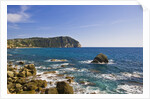 Coastline, Forio, Campania, Italy by Anonymous