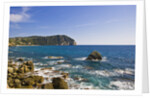 Coastline, Forio, Campania, Italy by Anonymous