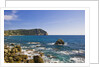 Coastline, Forio, Campania, Italy by Anonymous