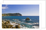 Coastline, Forio, Campania, Italy by Anonymous